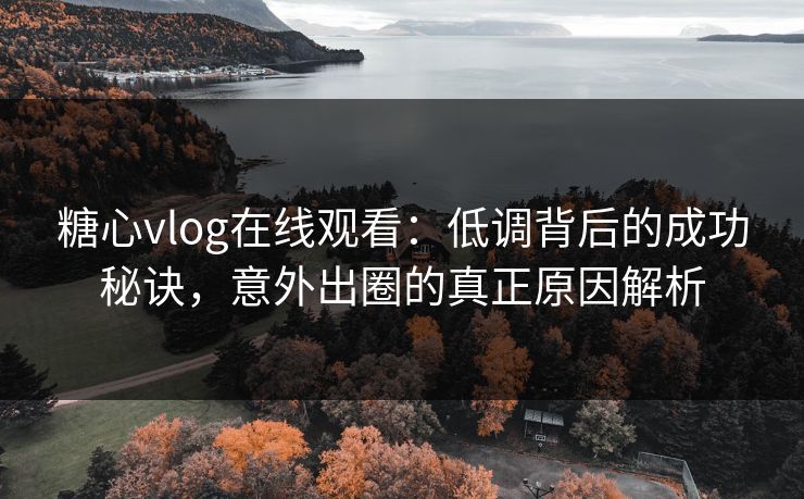 糖心vlog在线观看：低调背后的成功秘诀，意外出圈的真正原因解析