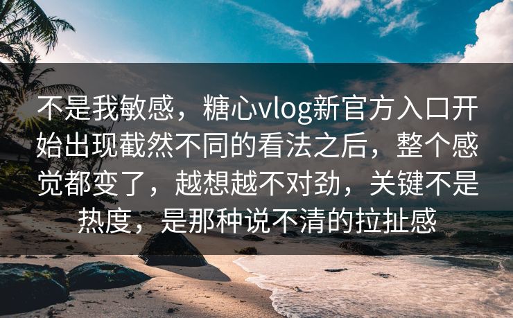 不是我敏感，糖心vlog新官方入口开始出现截然不同的看法之后，整个感觉都变了，越想越不对劲，关键不是热度，是那种说不清的拉扯感