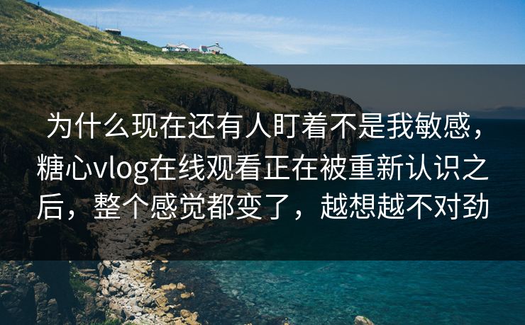 为什么现在还有人盯着不是我敏感，糖心vlog在线观看正在被重新认识之后，整个感觉都变了，越想越不对劲
