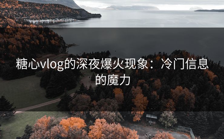 糖心vlog的深夜爆火现象：冷门信息的魔力