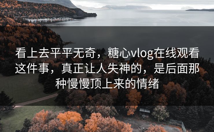 看上去平平无奇，糖心vlog在线观看这件事，真正让人失神的，是后面那种慢慢顶上来的情绪