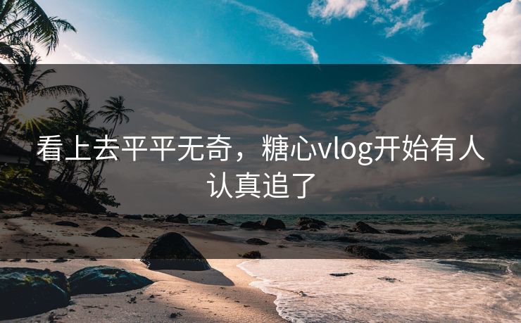 看上去平平无奇，糖心vlog开始有人认真追了