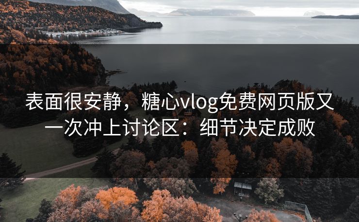 表面很安静，糖心vlog免费网页版又一次冲上讨论区：细节决定成败