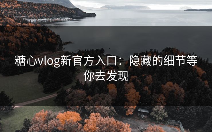 糖心vlog新官方入口：隐藏的细节等你去发现