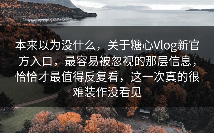 本来以为没什么，关于糖心Vlog新官方入口，最容易被忽视的那层信息，恰恰才最值得反复看，这一次真的很难装作没看见