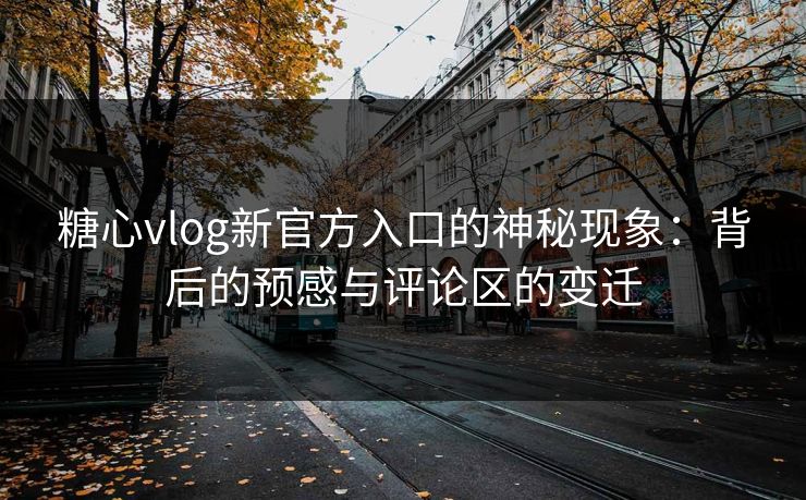 糖心vlog新官方入口的神秘现象：背后的预感与评论区的变迁