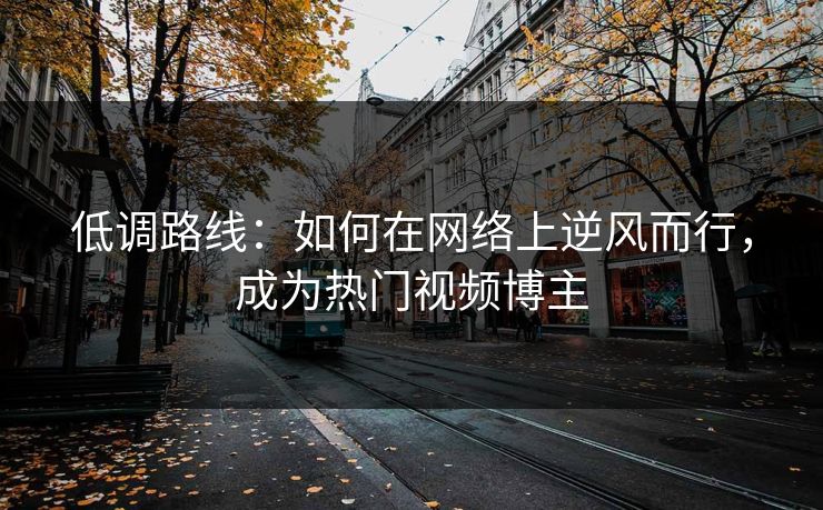 低调路线：如何在网络上逆风而行，成为热门视频博主