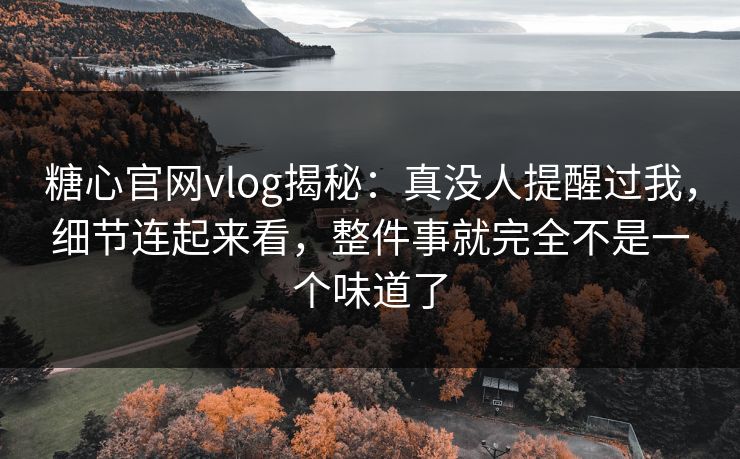 糖心官网vlog揭秘：真没人提醒过我，细节连起来看，整件事就完全不是一个味道了