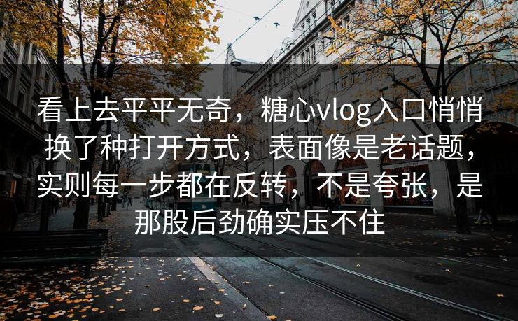 看上去平平无奇，糖心vlog入口悄悄换了种打开方式，表面像是老话题，实则每一步都在反转，不是夸张，是那股后劲确实压不住